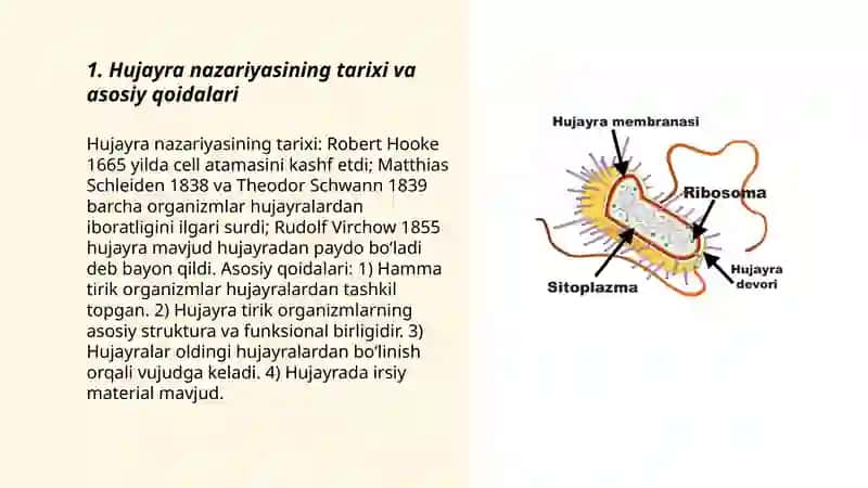 Hujayra tuzilishi va hujayra nazariyasi 3