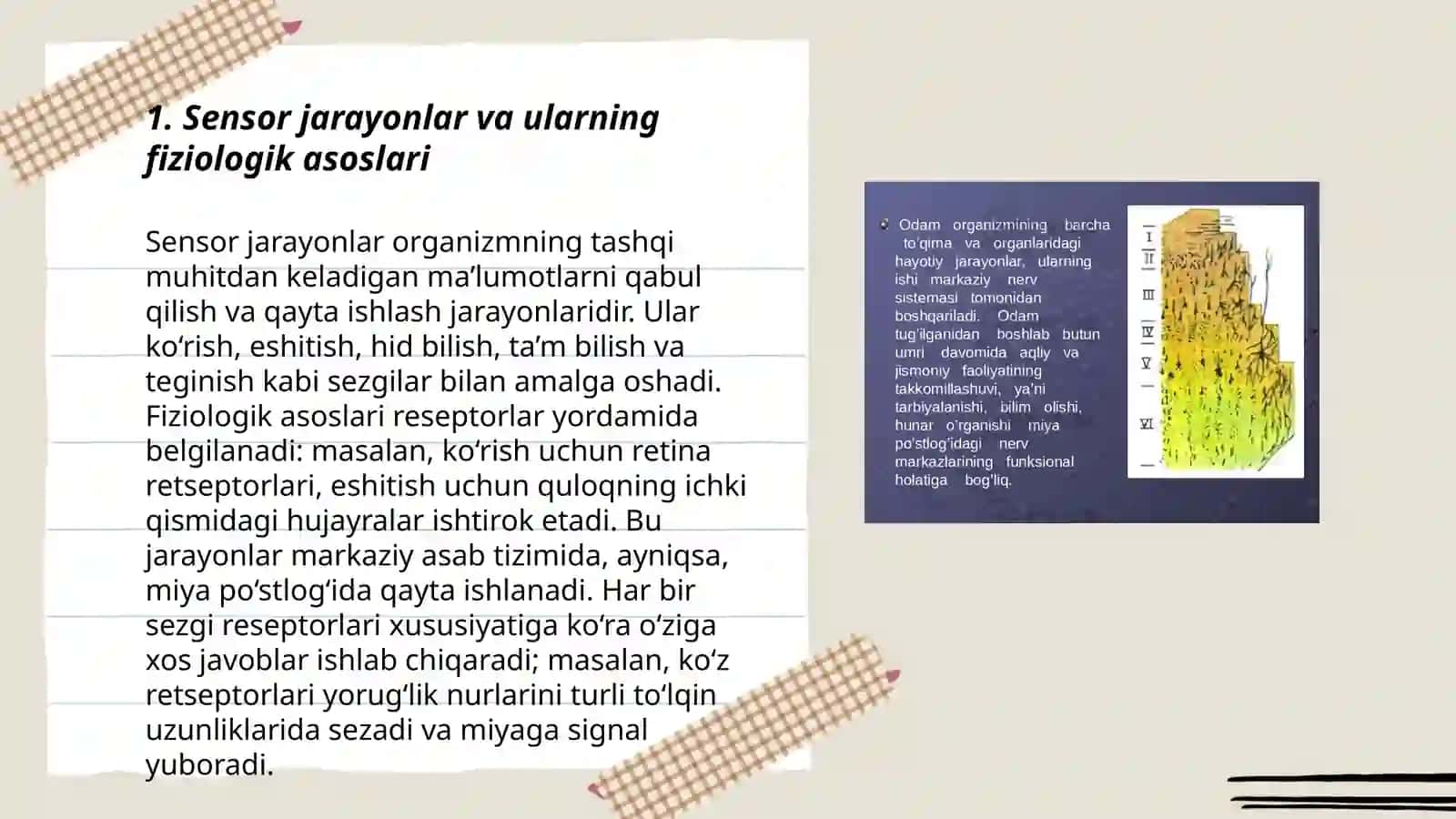 Sensor jarayonlar psixofiziologiyasi va sensor tizimning umumiy xususiyatlari 3