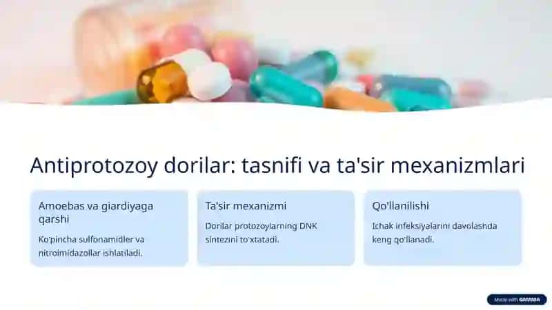 Sodda jonivorlar va gijjalar haqida umumiy ma'lumot 3