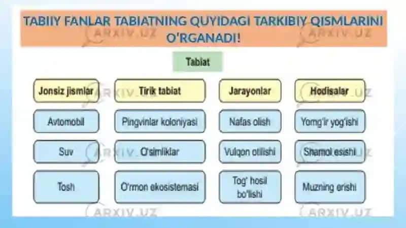 Tabiiy fanlar fanini o’qitish jarayonida boshlang’ich sinf o’quvchilarning moddiy dunyoqarash asoslarini shakllantirish 3
