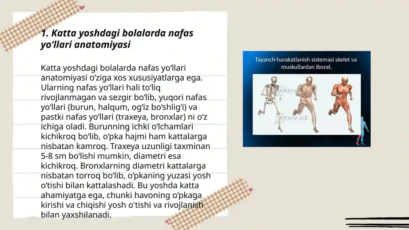 Katta yoshdagi bolalarda nafas tizimi kasalliklarini semiotikasi 3