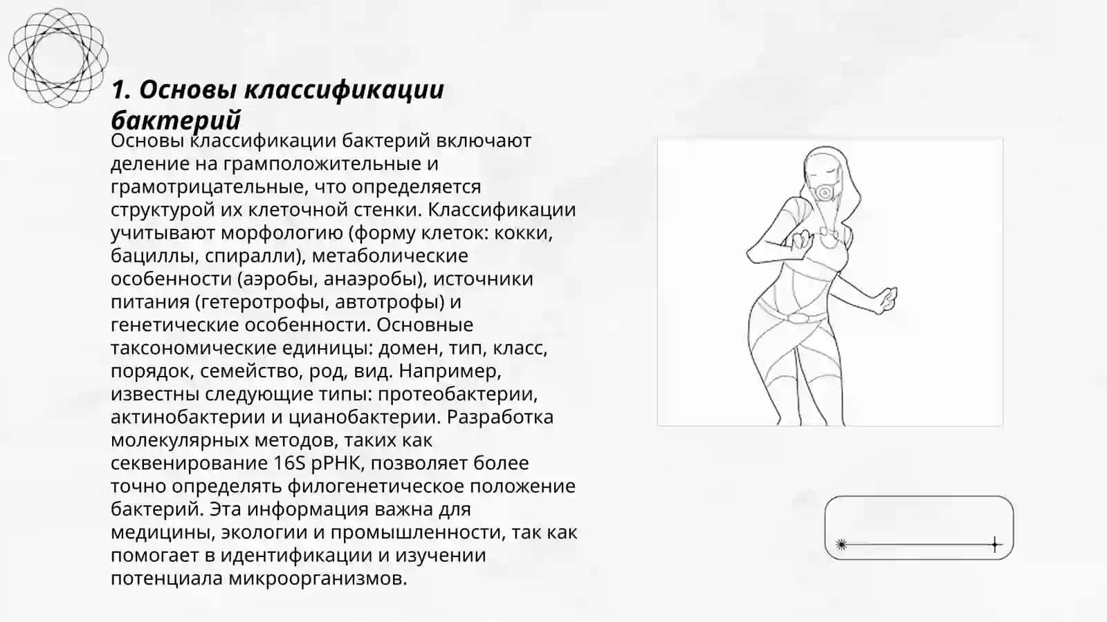 Классификация, систематика и номенклатура бактерий 3