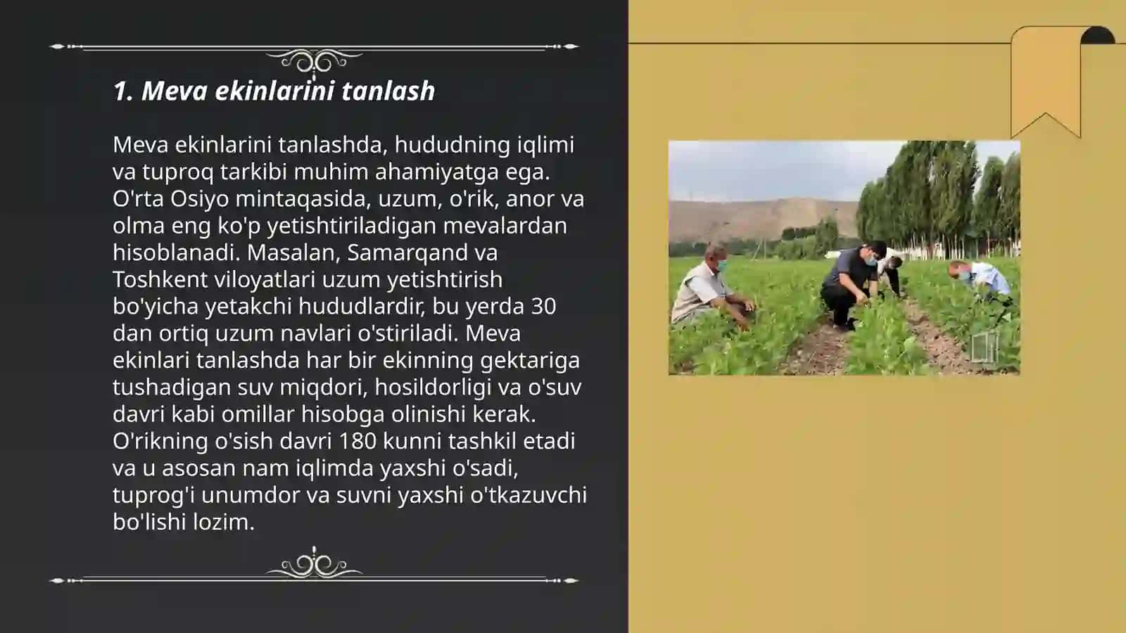 Meva ekinlarni yetishtirish texnalogiyasi 3