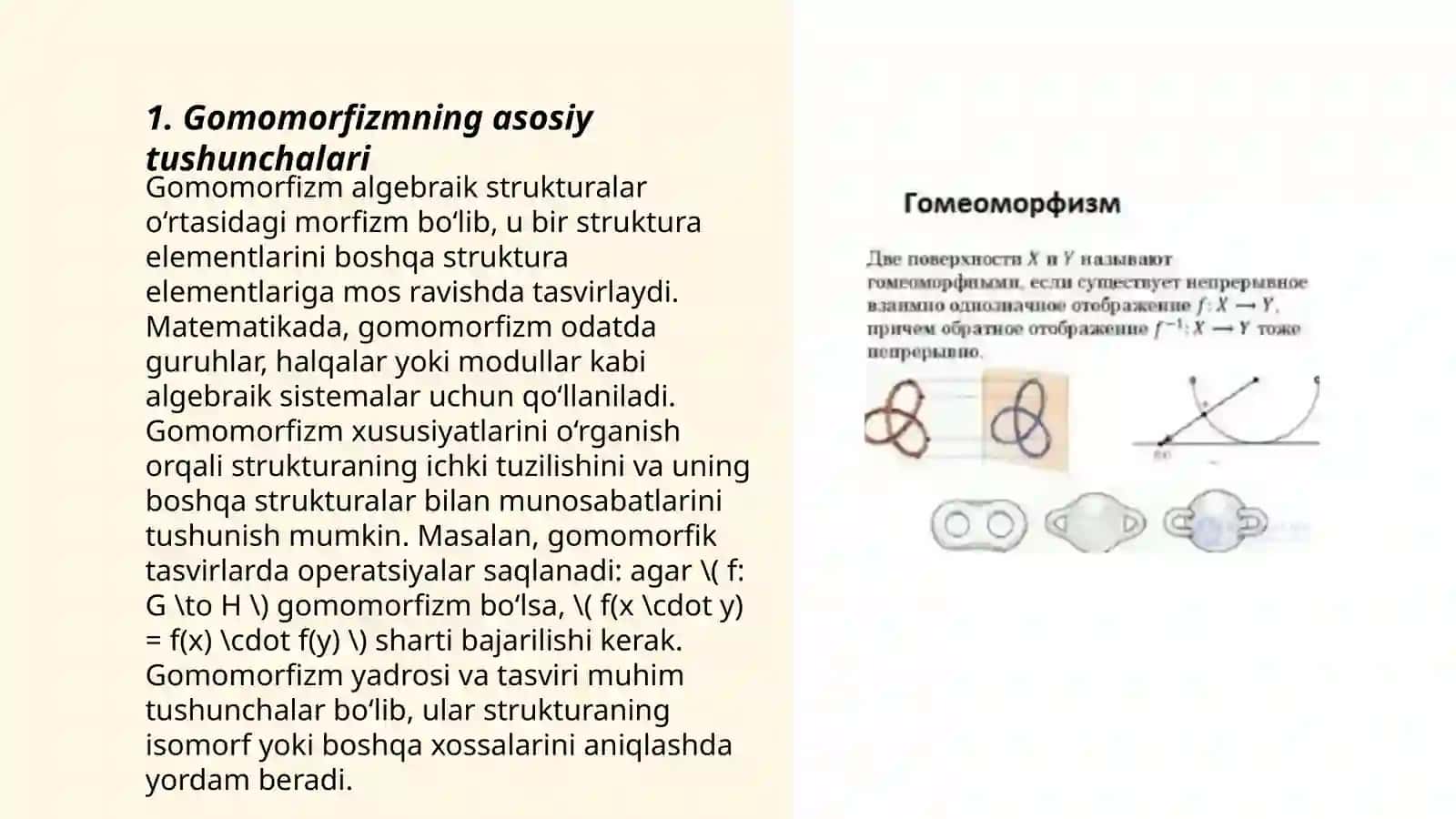 Gomomorfizm 3