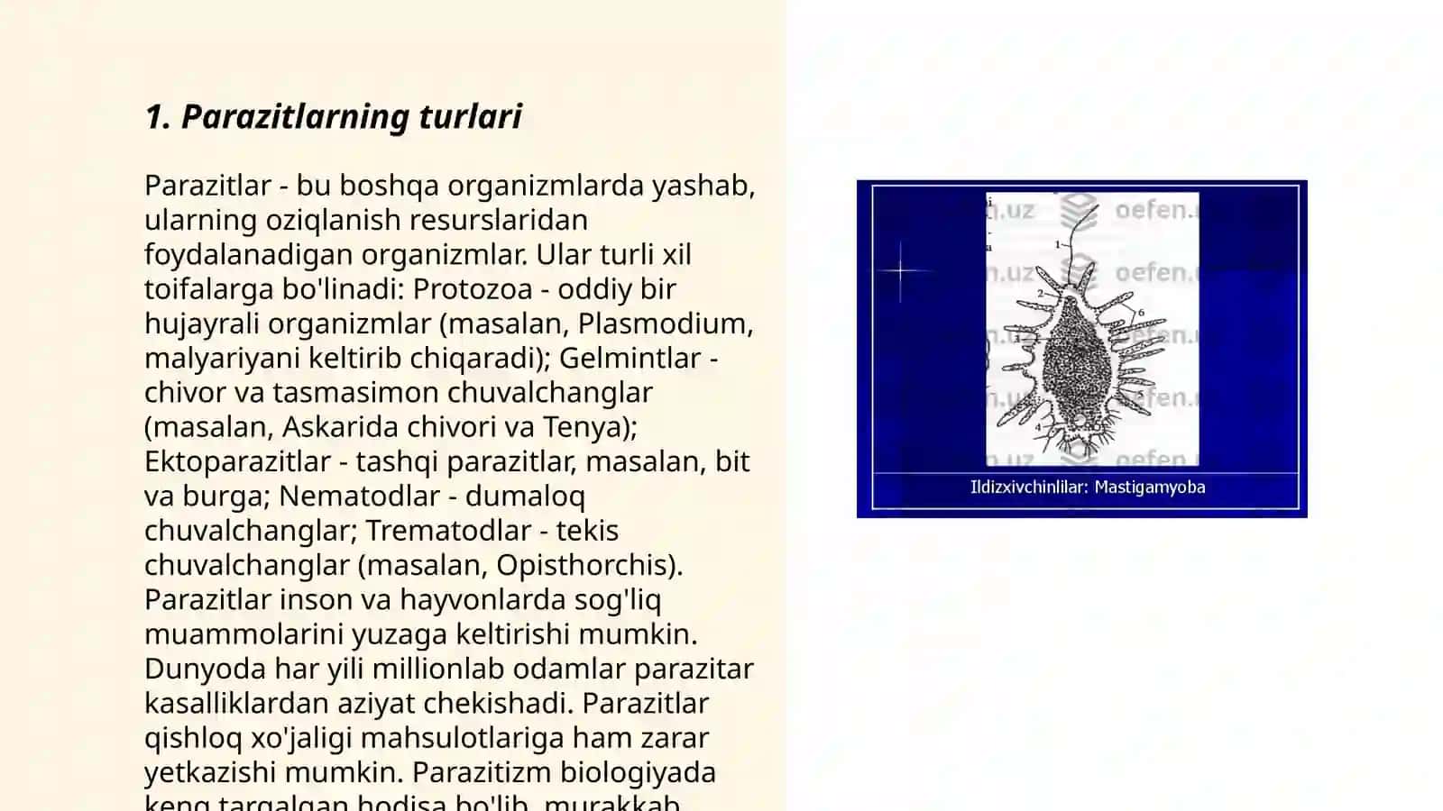 Xivchinlilar odam parazitlari 3