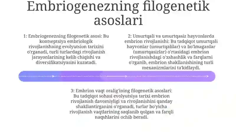 Umurtqali Va Umurtqasiz Hayvonlar Rivojlanishi Misolida,Embriogenez Xilma Xilligining Filogenetik Asoslari 3