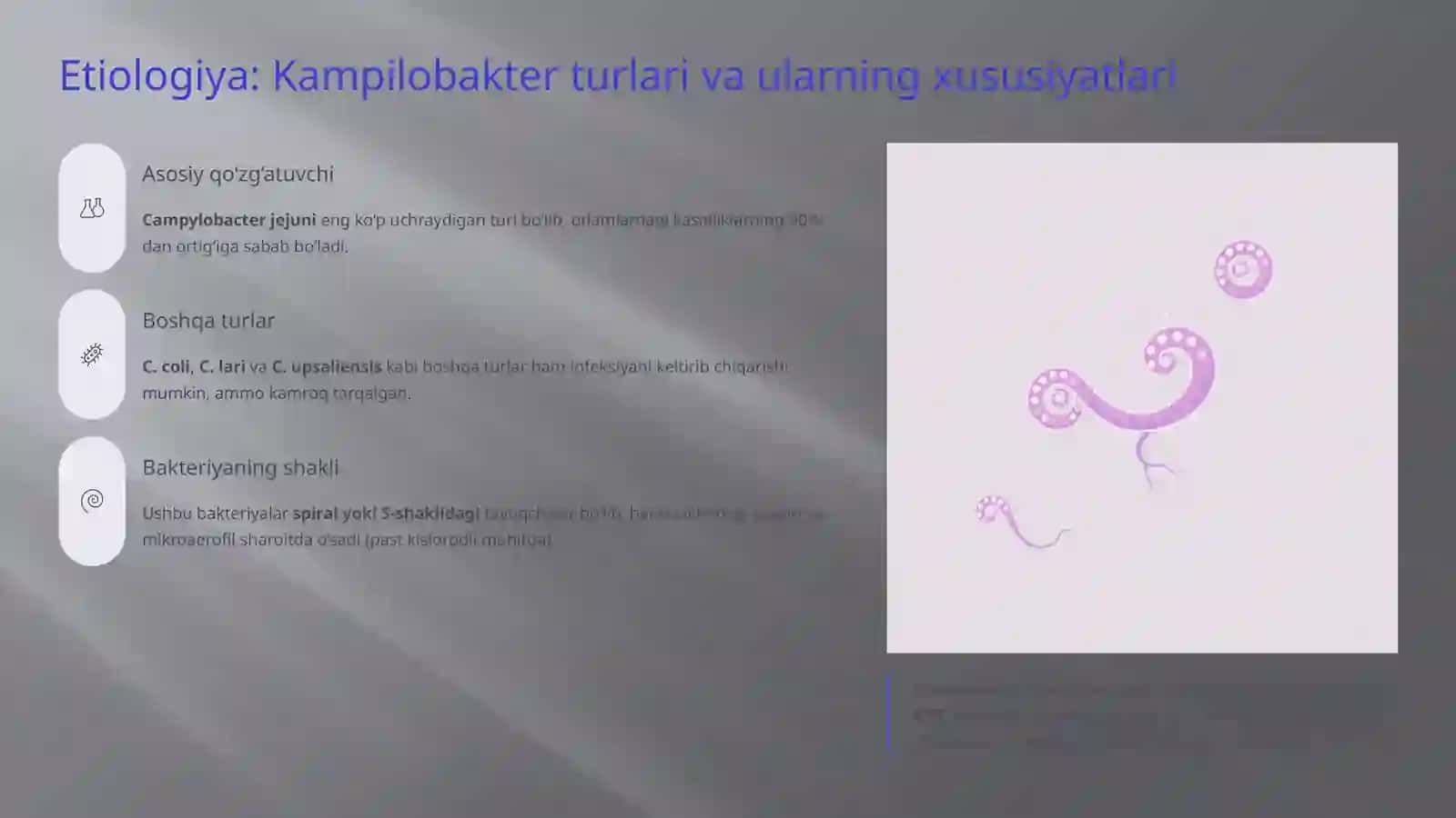 Kampilobakterioz: Etiologiya, Epidemiologiya, Klinika, Diagnostika, Davolash 3
