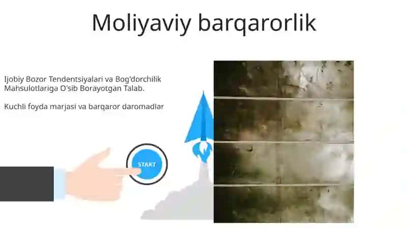 Bogʻdorchilikda investitsiyalarni jalb etish samaradorligi 3