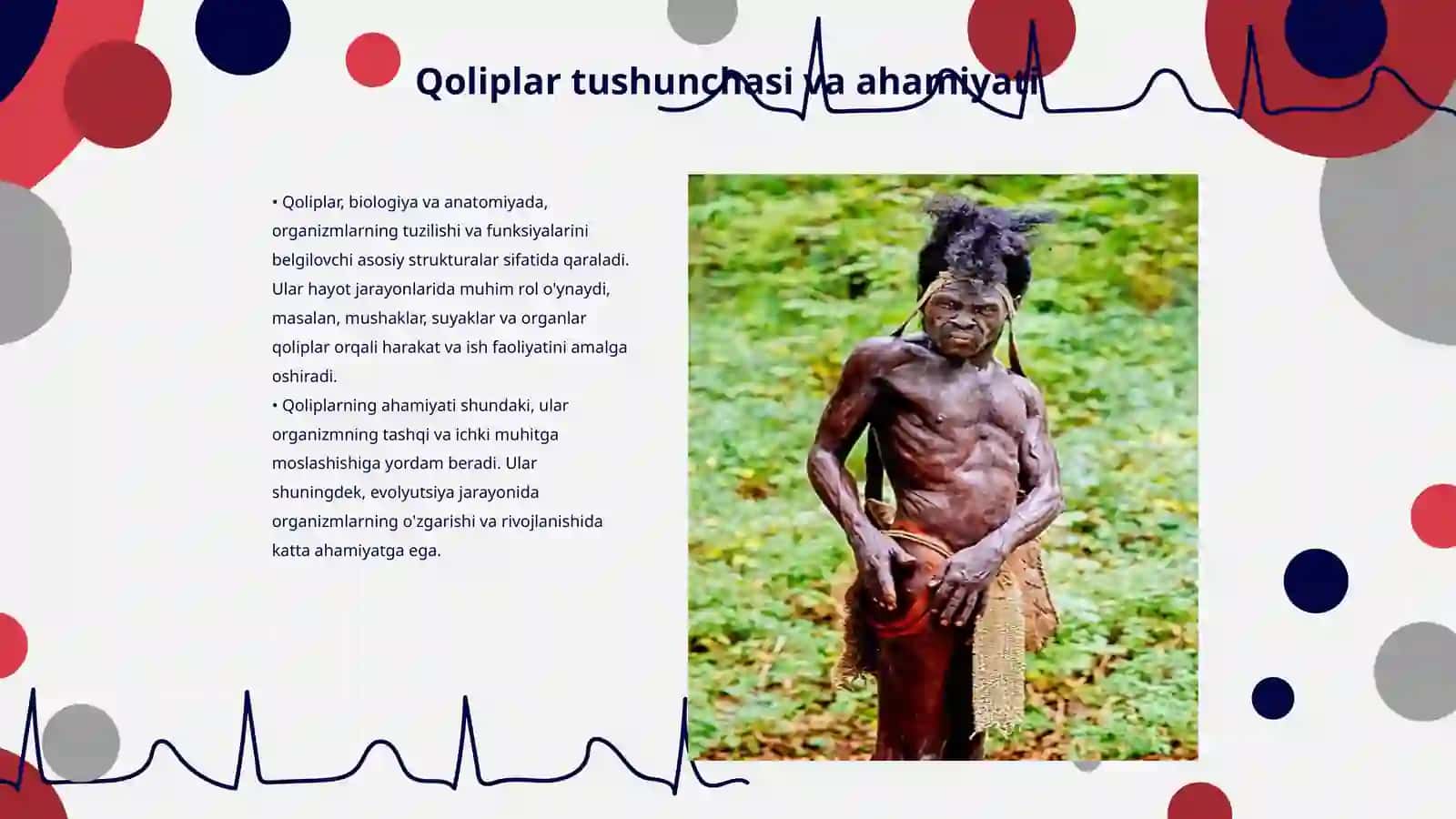 Qoliplar va ularning tasnifi. Anatomik va funksional qoliplar 3
