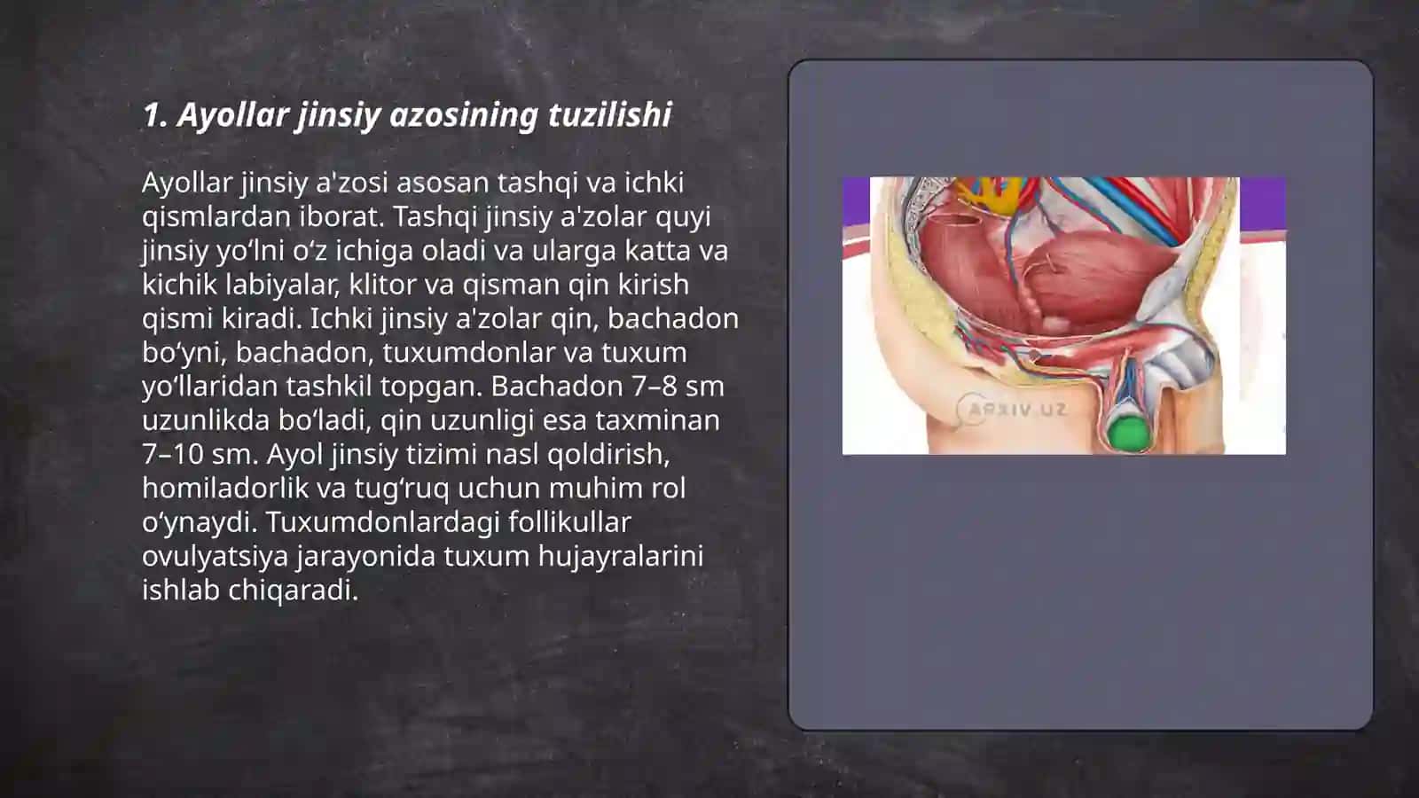 Ayollar jinsiy azosi 3