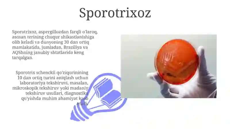 Zamburugʻli kasalliklarning qoʻzgʻatuvchilari, patogenezi, laboratoriya tashxisi 3