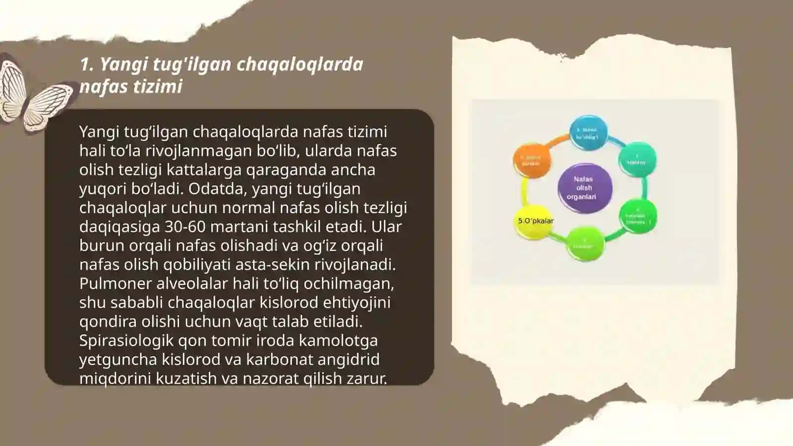 Yangi tug'ilgan chaqaloqlarda nafas tizimi 3