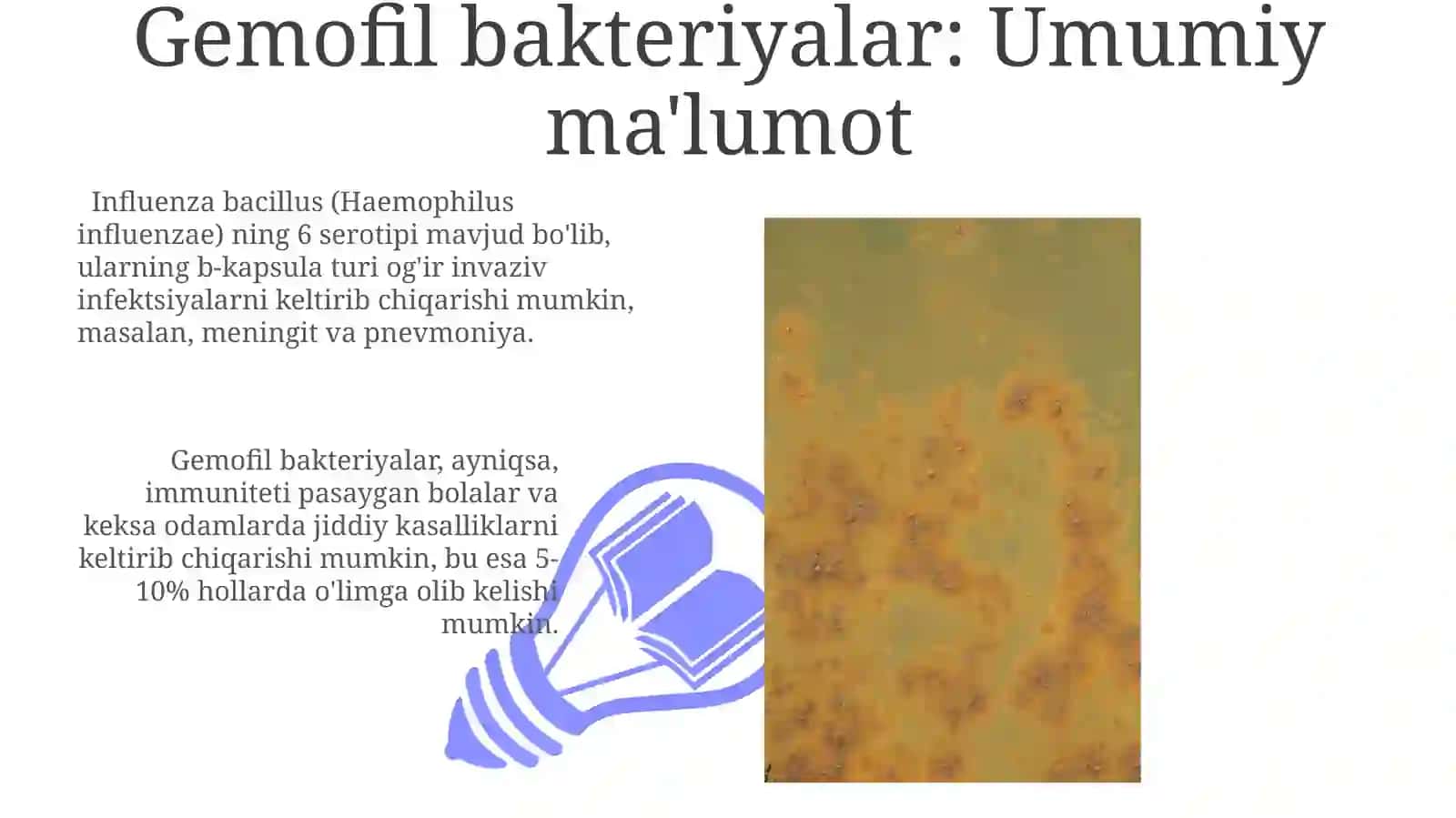 Gemofil Bakteriyalar: Umumiy Tasavvur 3