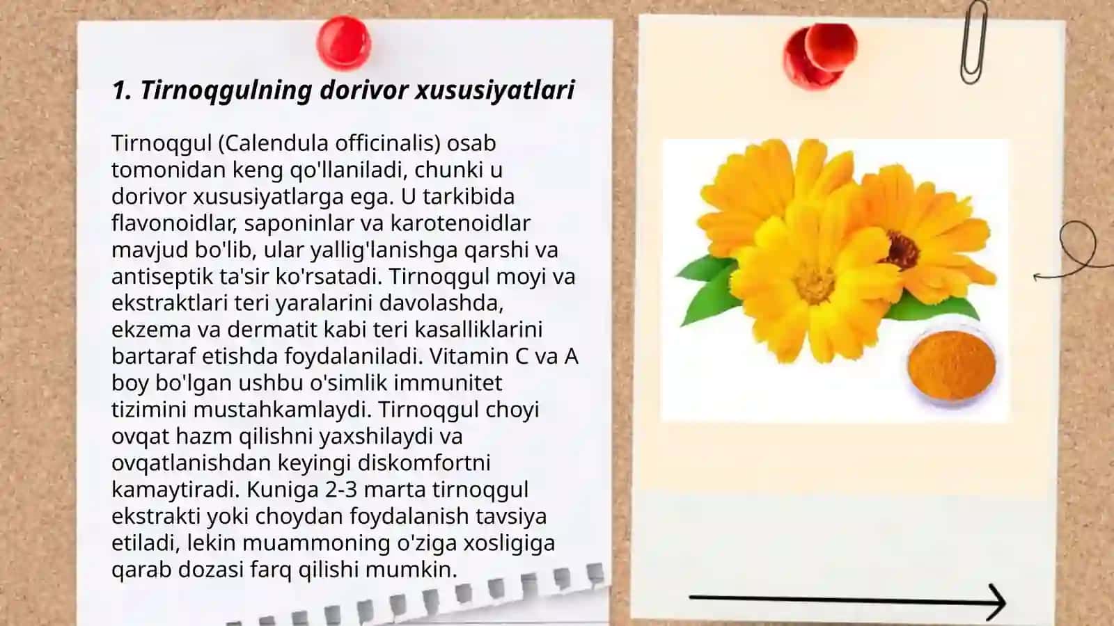 Tirnoqgulning dorivor va qollanib bolmaydigan holatlari oilasi lotincha nomi 3