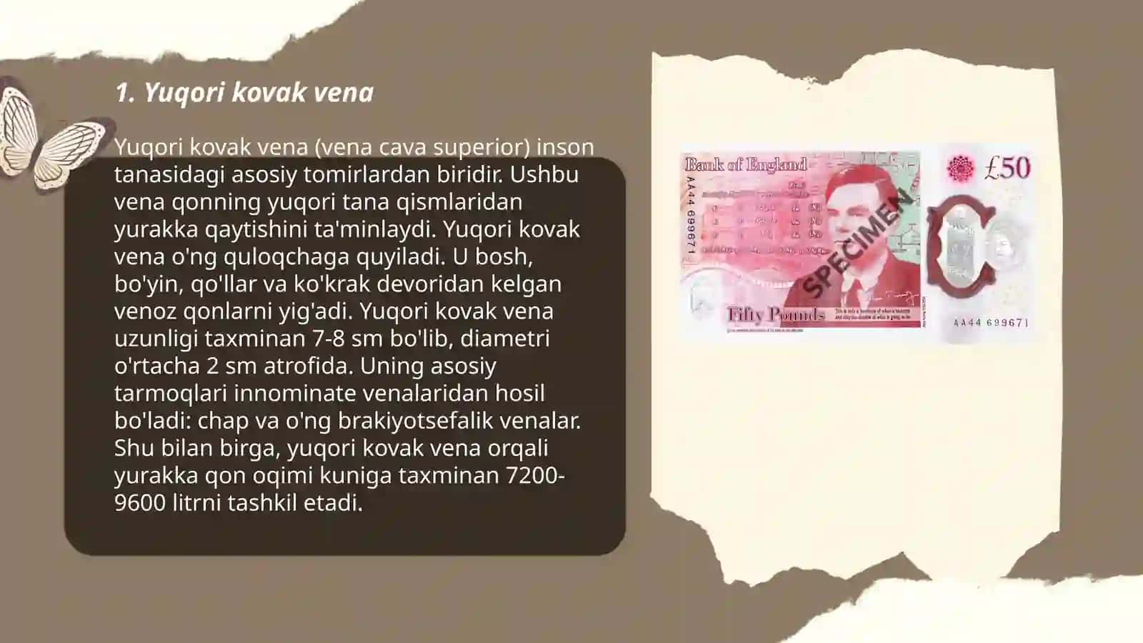Yuqori va pastki kovak venalar 3