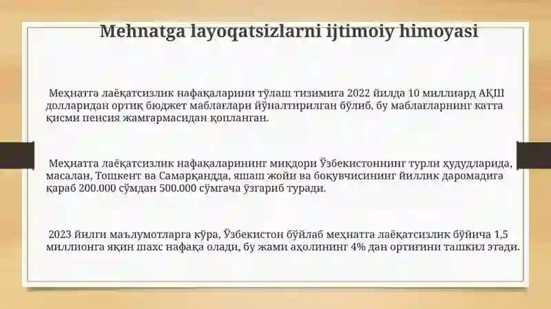 Mehnatga layoqatsizlarni ijtimoiy himoyasi 3