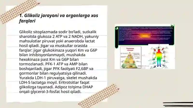 Organ va tòqimalarda uglevodlamning oraliq modda sifatida almashinuvi 3