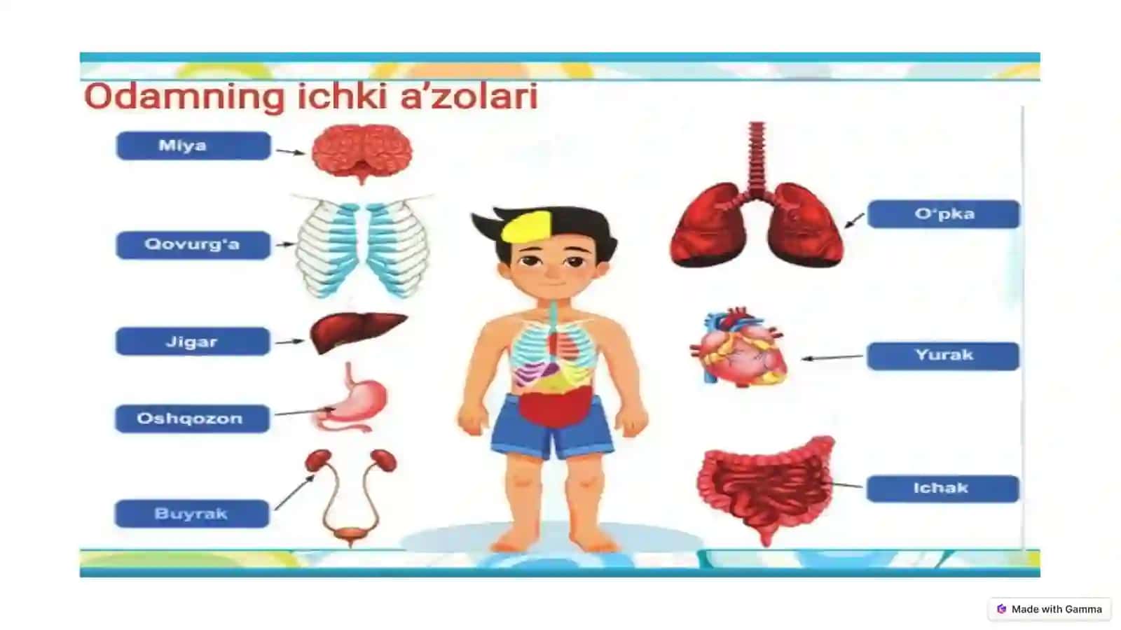 Inson va uning sogʻligʻi: Barkamol Hayot Yoʻli 3