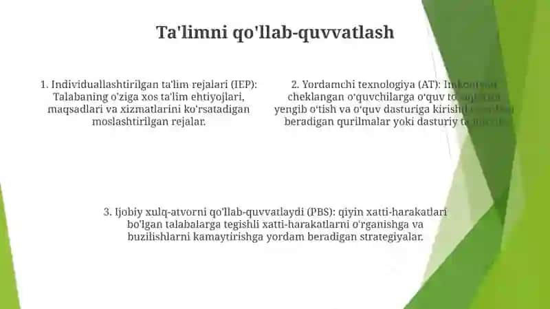 Alohida Yordamga Muhtoj Bolani Samarali Inkluziyasi Tashqi Sharoitlar 3