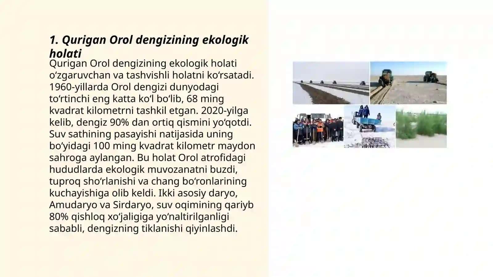 Qurigan Orol dengizi tubida yashil makon loyihasi 3