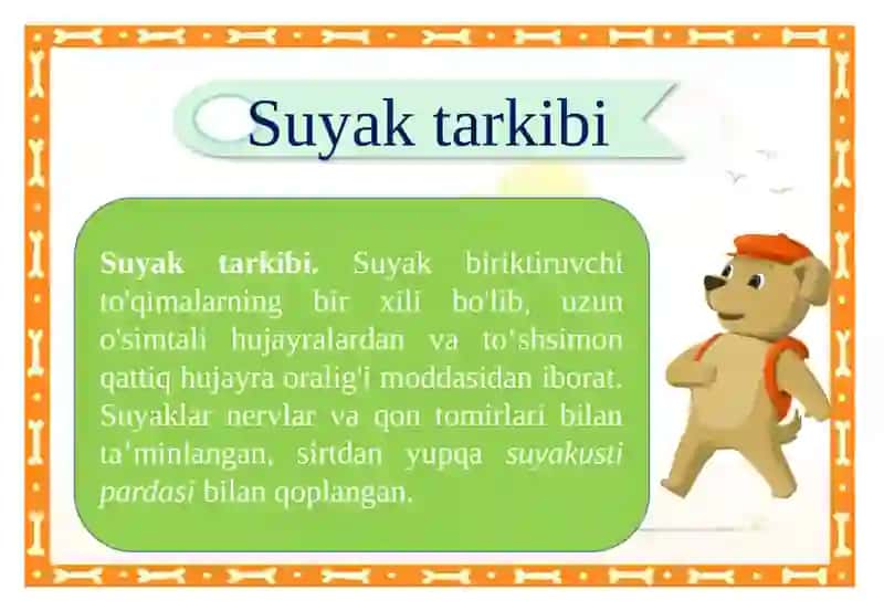 Suyaklarning oʼsishi va roʼyoblanishi 3