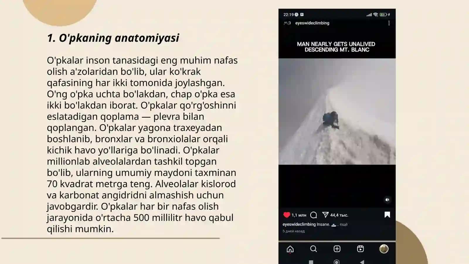 O'pka va qon so'rg'ichlari 3