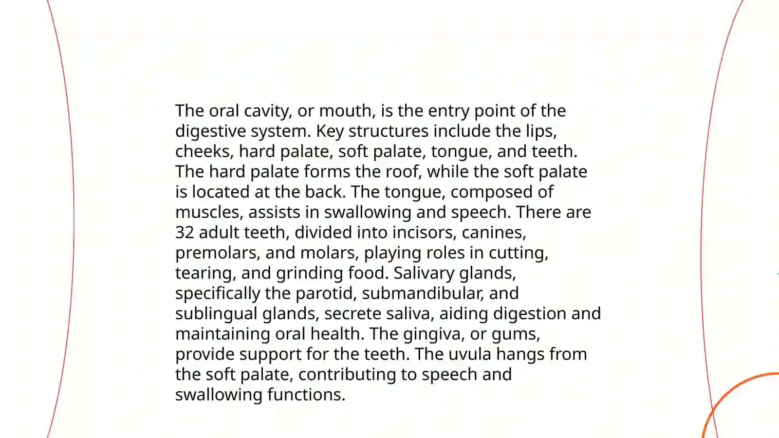Anatomy of the Oral Cavity 3