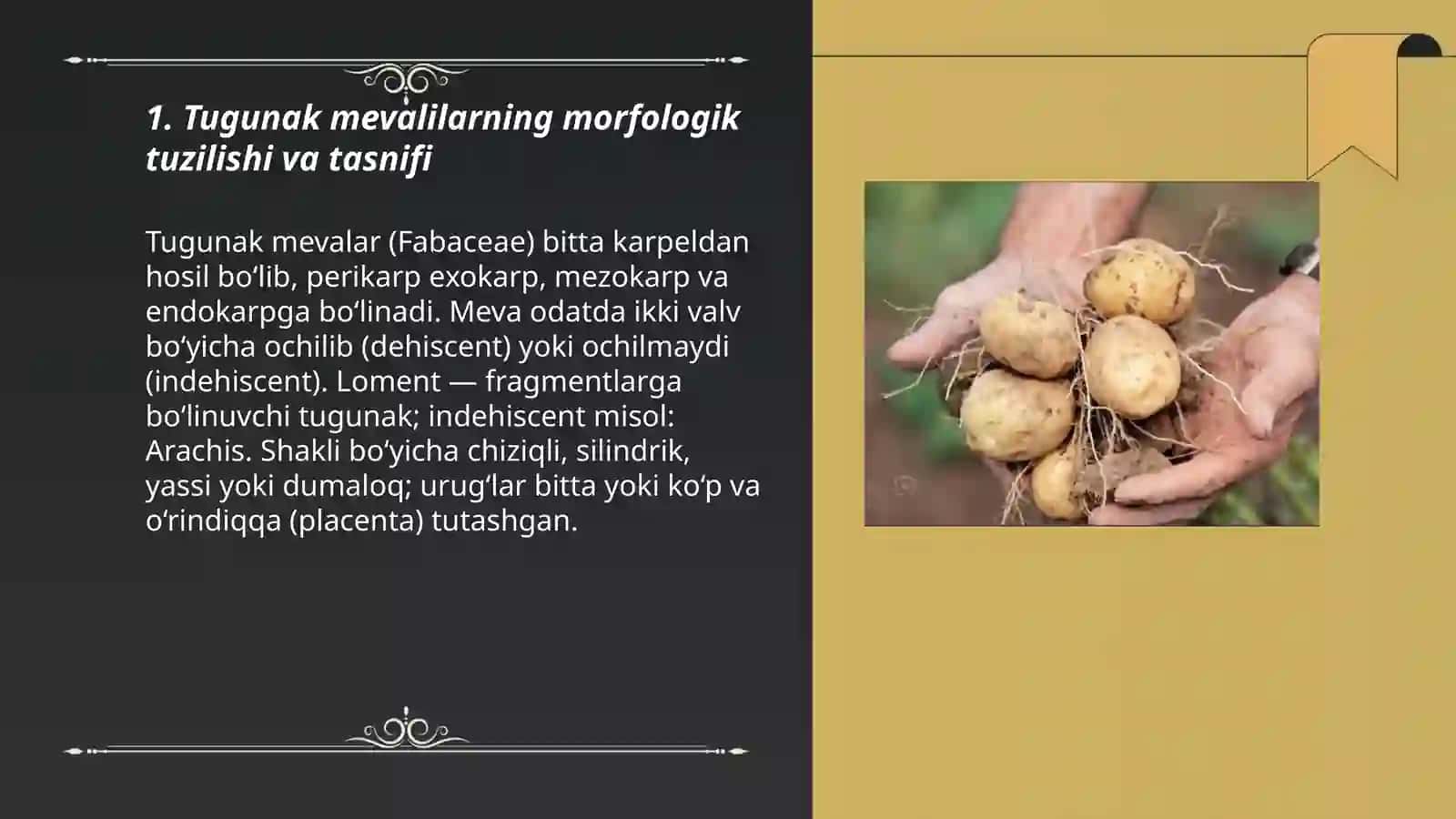 Tugunak mevalilar morfologiyasi, biologiyasi va yetishtirish texnologiyasi 3