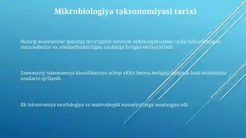 Mikroorganizmlar sistematikasi 3