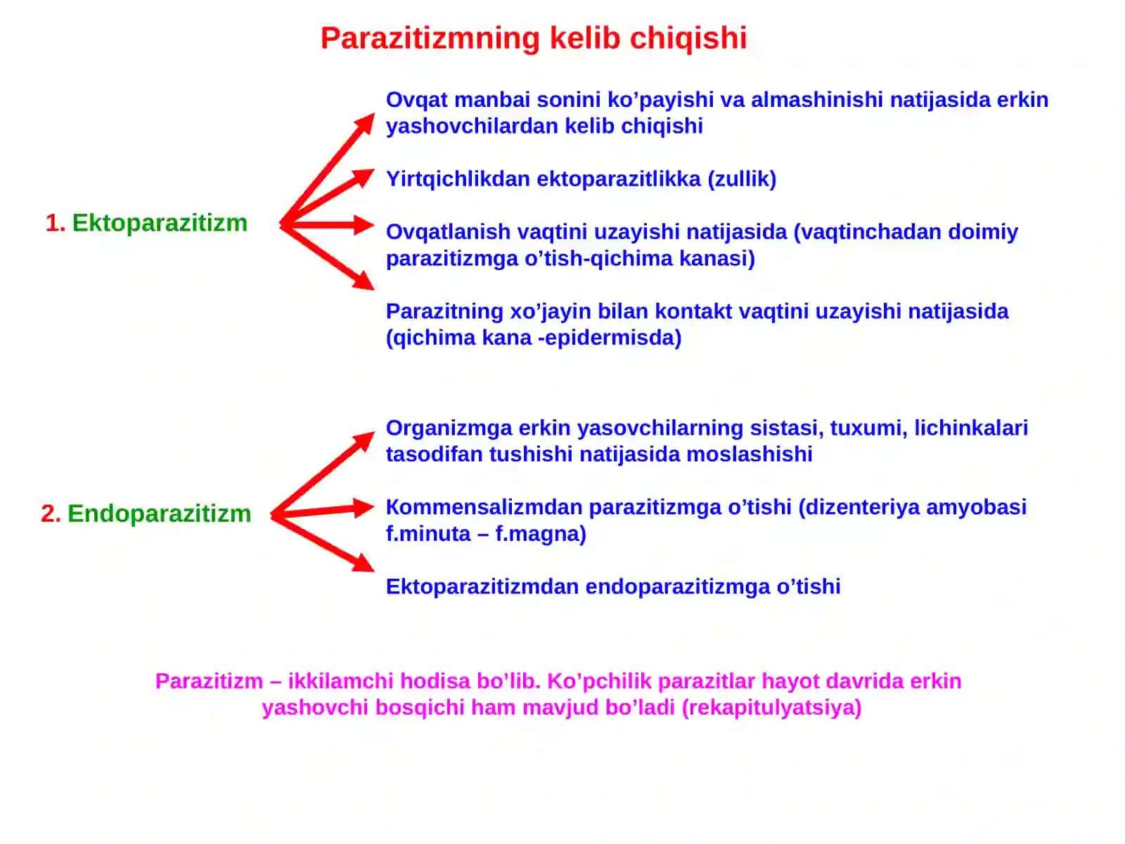 Tibbiy parazitologiya. Tibbiy protozoologiya 3