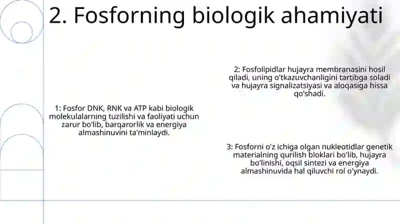 Hujayra Strukturalari Va Fermentlar Tizimining Hosil Bo'Lishida Fosforli Birikmalarning Ishtiroki 3
