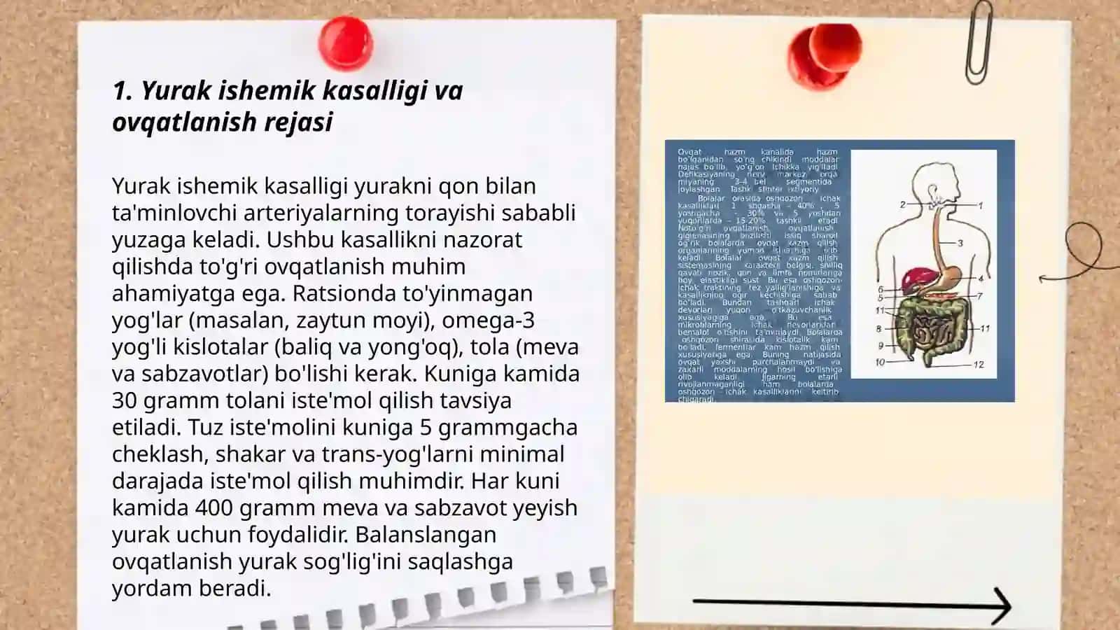 Hazm a'zolari kasalliklarida taomnoma tuzish 3