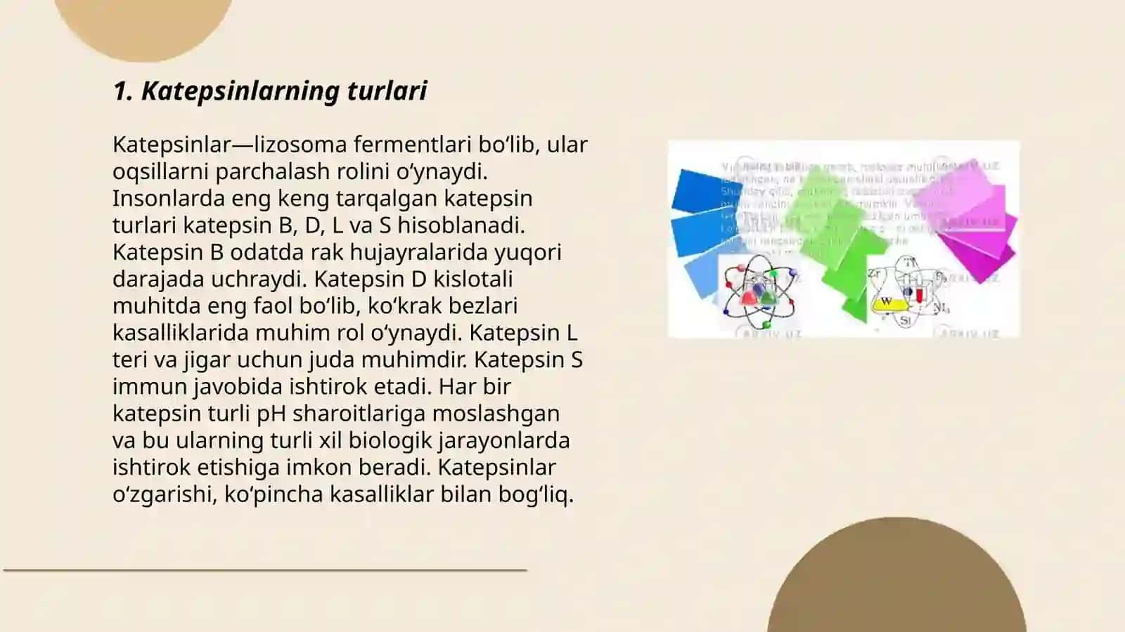 Katepsinlar va ularning klinik ahamiyati 3