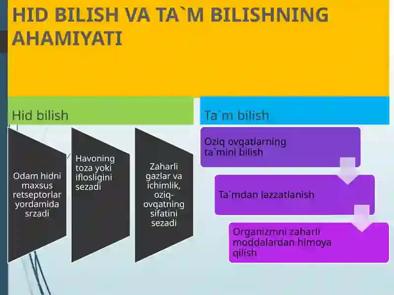 HID BILISH VA TA`M BILISH ORGANLARI 3