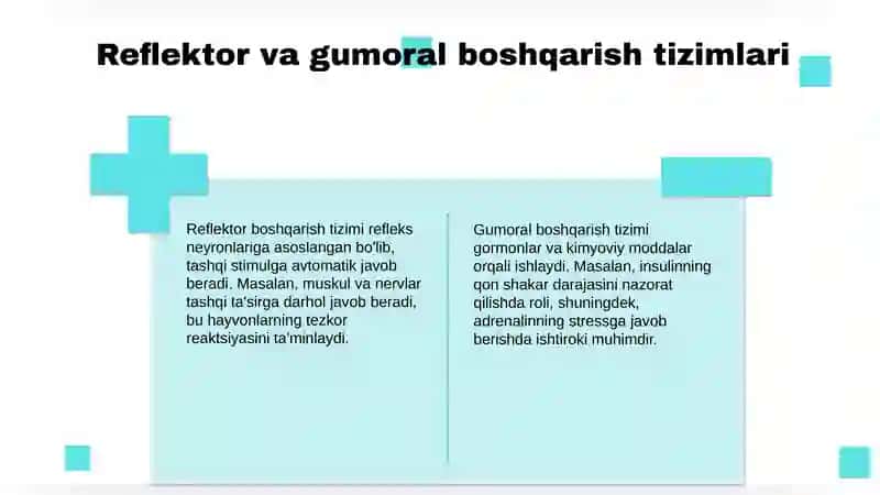 Hazmtizimifaoliyatiningreflektorvagumoralyo'lbilanboshqarilishi 3