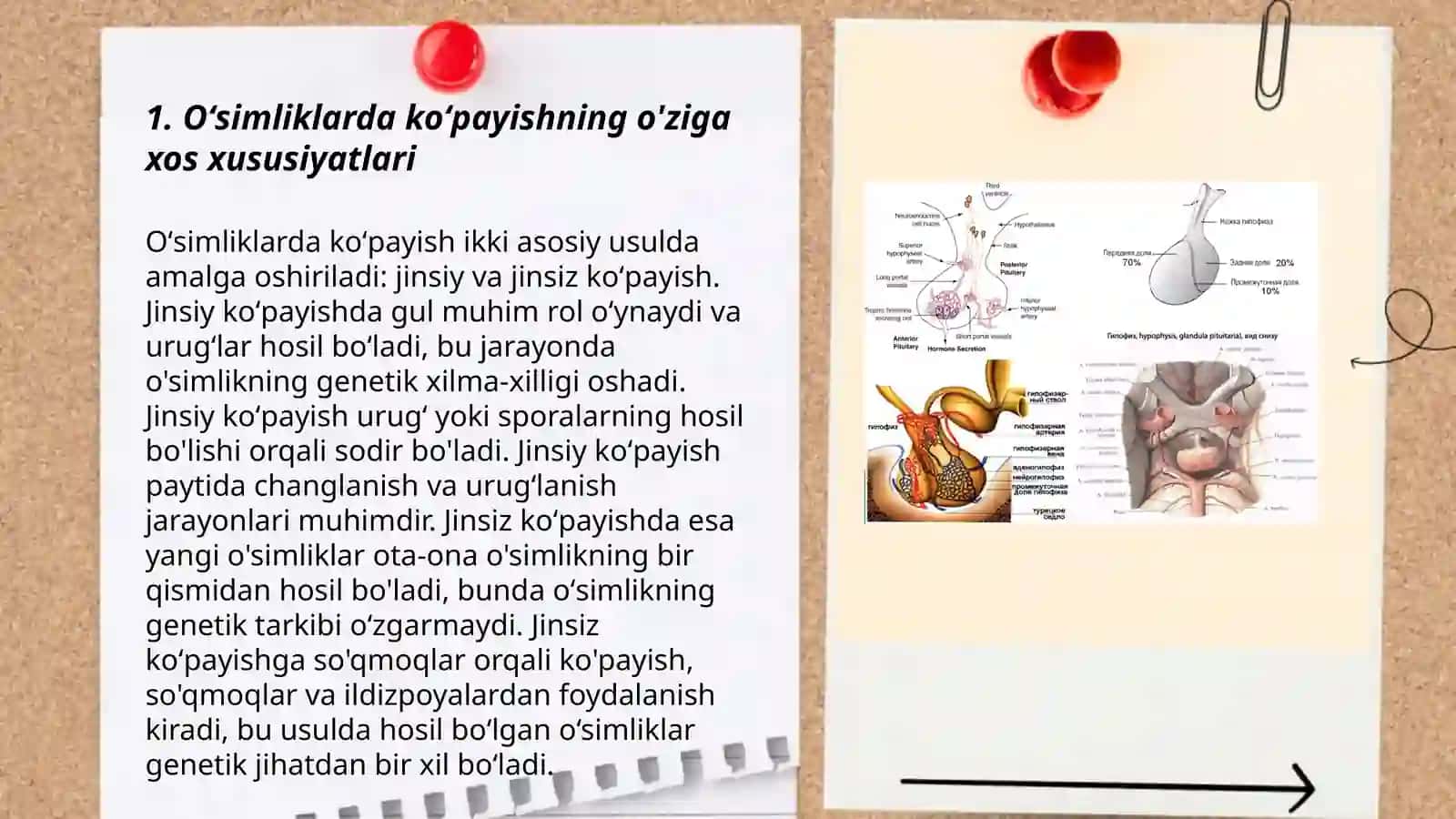 Oʻsimliklarda vegetativ,jinssiz va jinsiy koʻpayishning mohiyati ularning qishloq xoʻjaligidagi ahamiyati 3