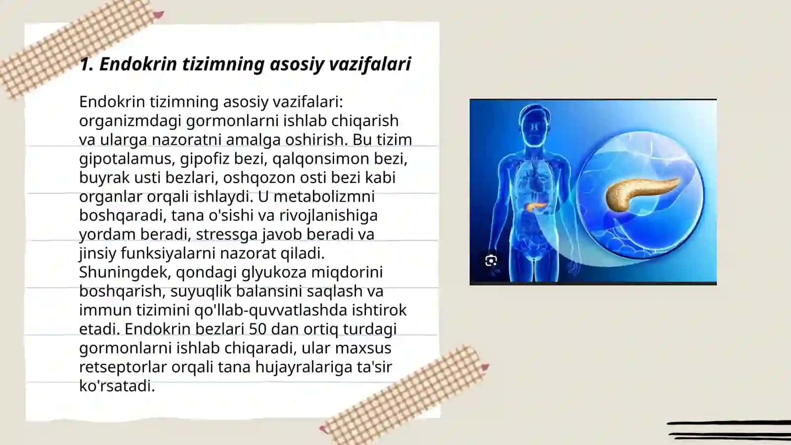 Endokrin bezlar va endokrin aʼzolar haqida tushuncha 3