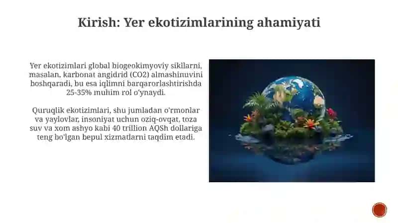 Yer Ekotizimlari 3
