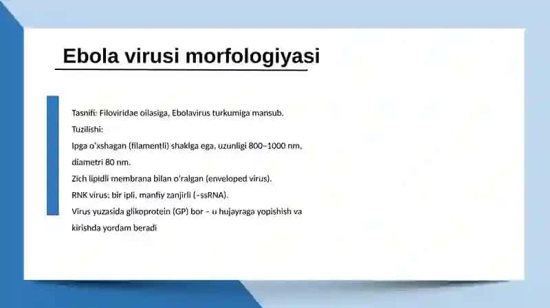 Ebola, Lassava, Zika virus 3