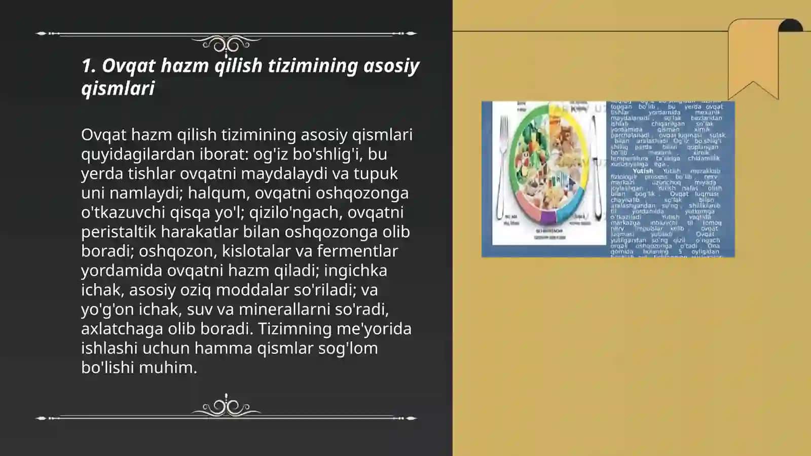 Ovqat va uning hazm bo’lishi haqida tushuncha 3