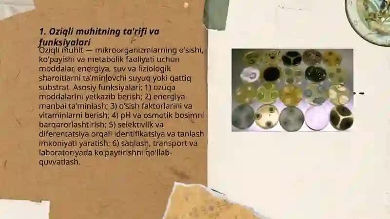 Oziqli muhitlar, tasnifi va ularga qo'yilgan talablar 3