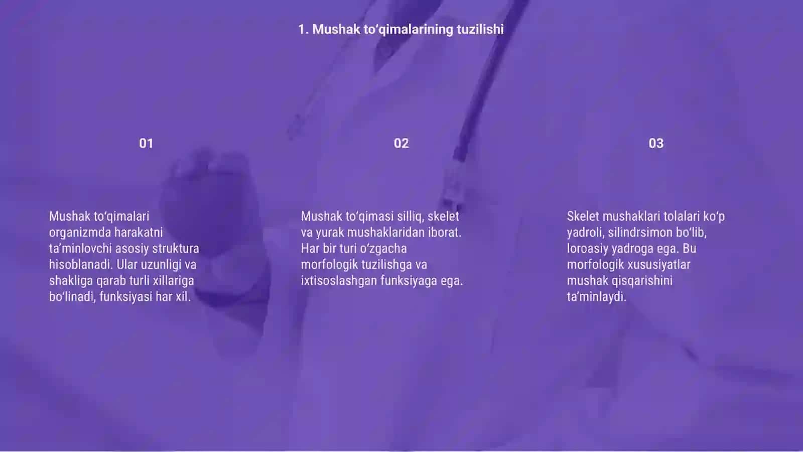 Mushak qisqarish mexanizmining morfologik asoslari 3