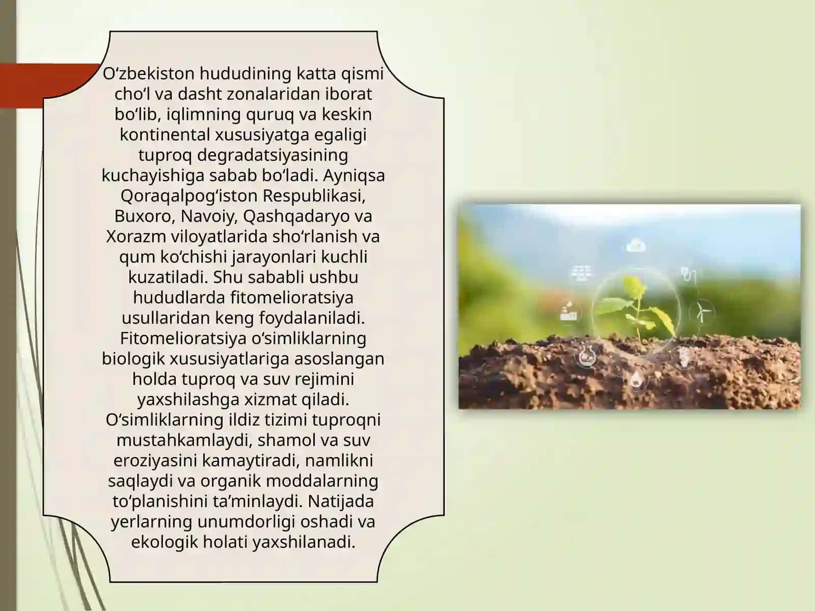 O‘zbekistonda fitomelioratsiya turlari tahlil qilish 3