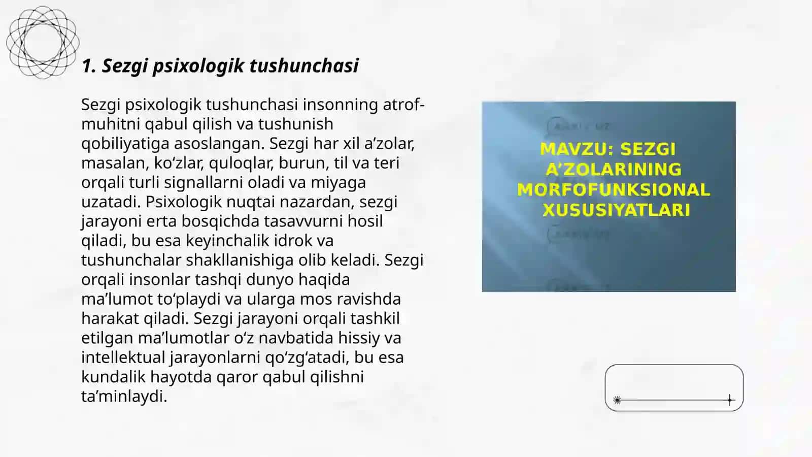 Sezgi va idrok psixik jarayonlarining boshlangʻichi ekanligi 3