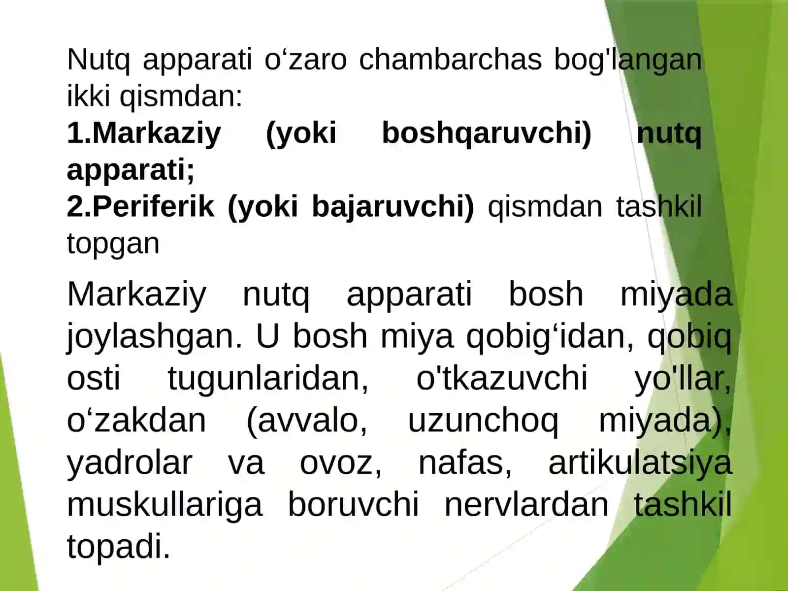 Nutqning anatomik fiziologik tuzilishi 3