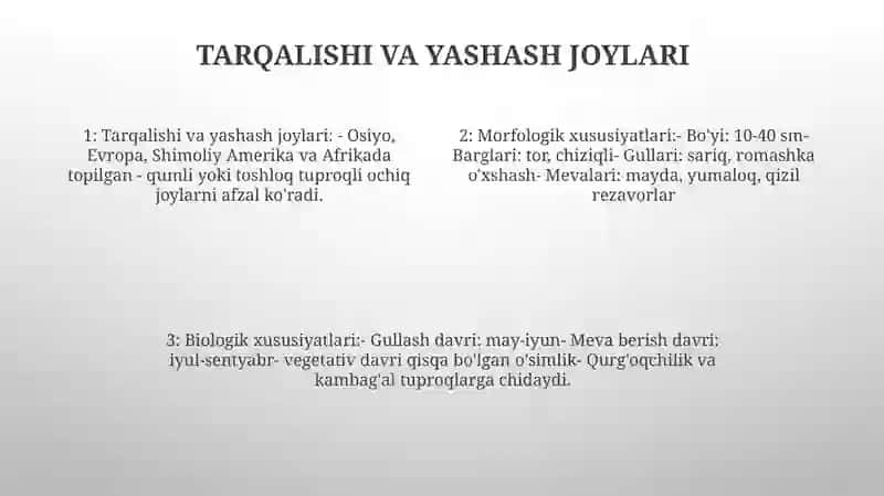 Yovvoyi Holda O'Sadigan Danak Mevali O'Simliklarning Morfo-Biologik Xususiyatlari 3