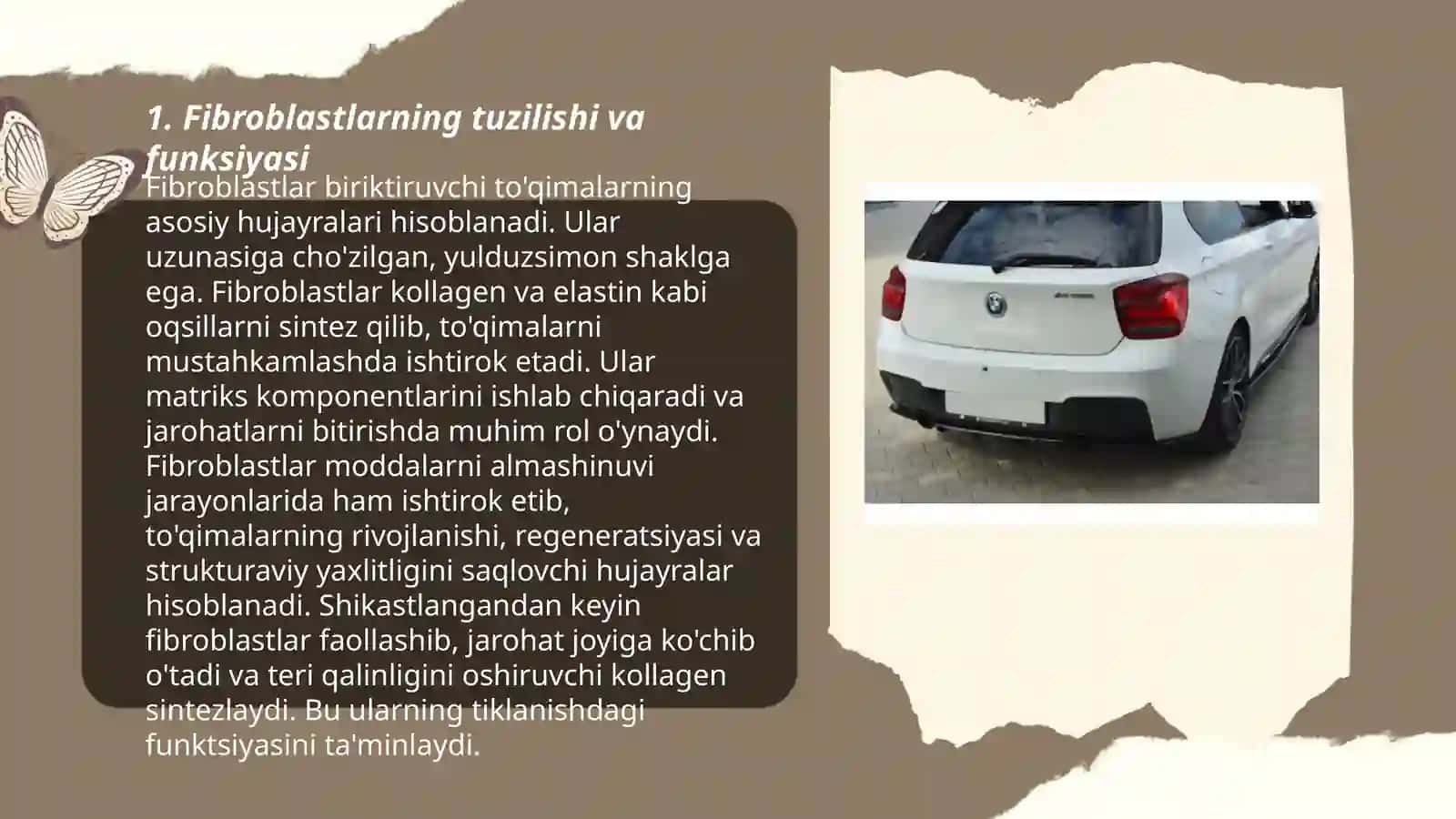 Fibroblastlarning jarohatning bitishi va chandiq xosil bo‘lishidagi ro‘li 3