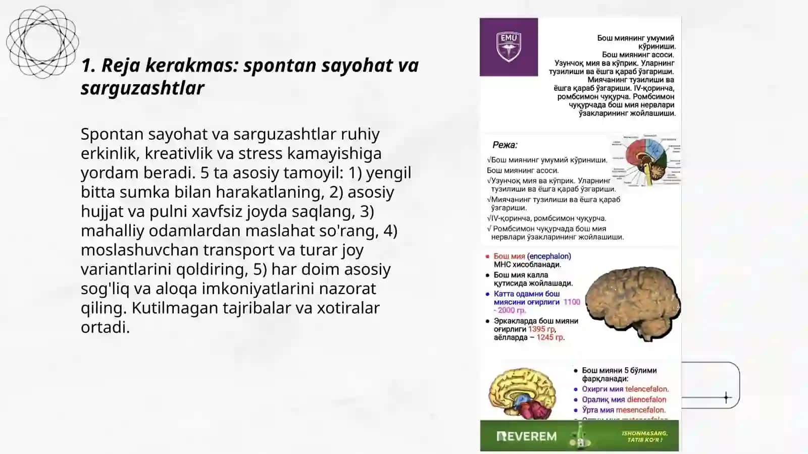 Reja kerakmas: spontan sayohat va sarguzashtlar 3