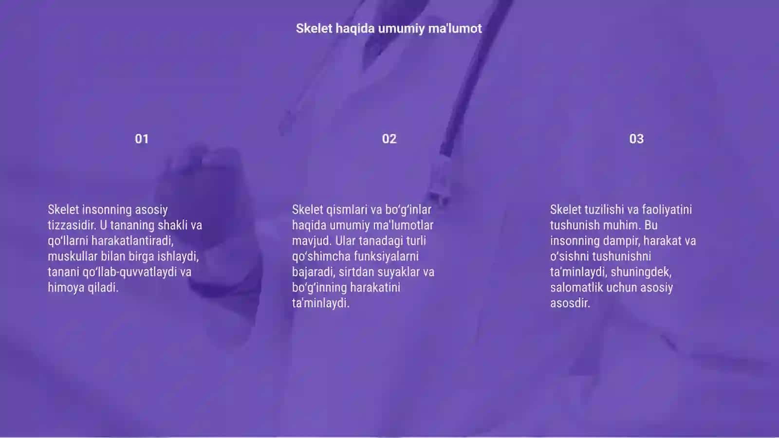 Skelet va uning boylamlari haqida talimot 3