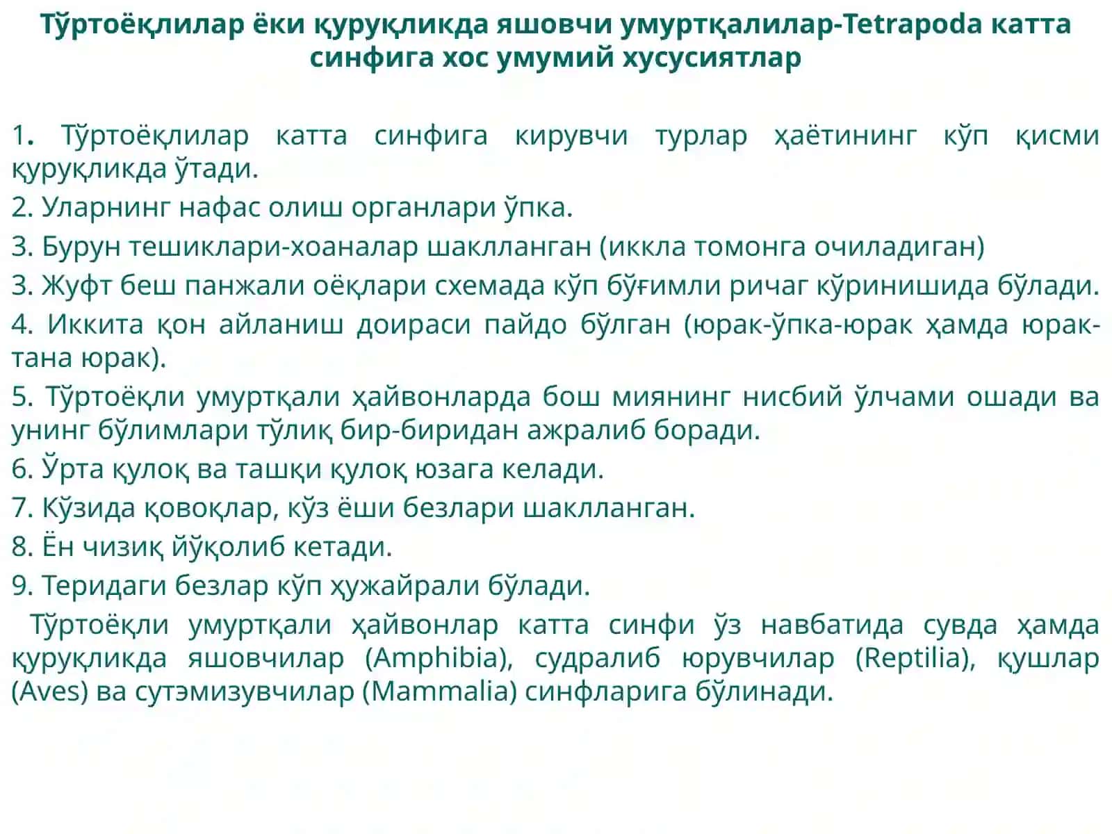 Тўртоёқлилар ёки қуруқликда яшовчи умуртқалилар-Tetrapoda катта синфи 3